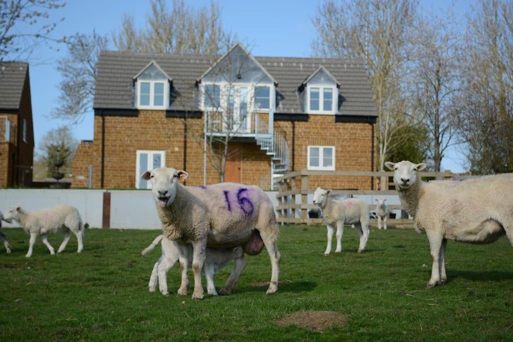 Field View Villa Braunston  Dış mekan fotoğraf