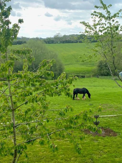 Field View Villa Braunston  Dış mekan fotoğraf
